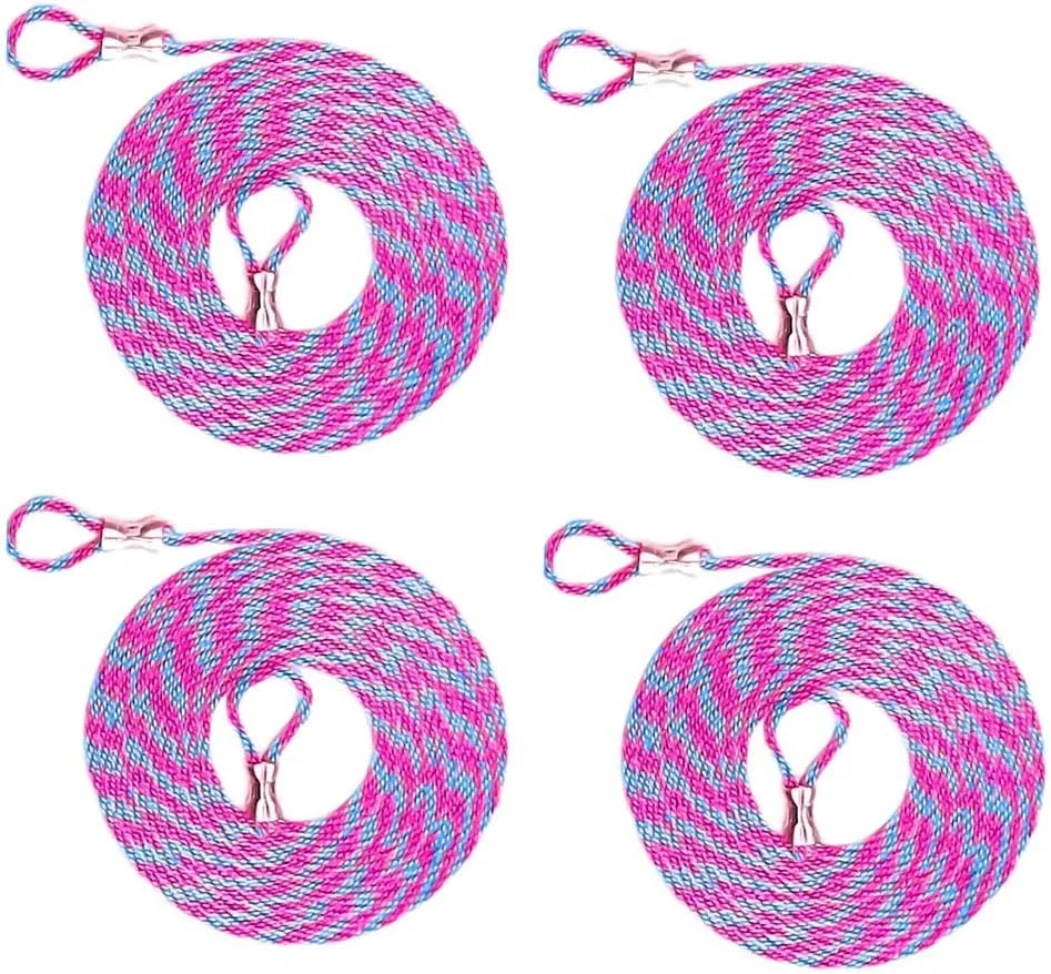10 ft. Nylon Rope with Crimped Loop Ends - 4 Pack 1/8 inch diamter Tie Down Rope - Ideal for Camping, Pop Up Canopy, Tarp, Beach Umbrella, Tent, Anchor Tether