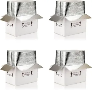 10x6x7'' 4 Pack Insulated Shipping Boxes with Aluminum Foil Liner,Double Insulated Carton for Frozen Food and hot,Reusable Perishable Shipper Cooler Box, Small Mailing Box for Shipping(White)
