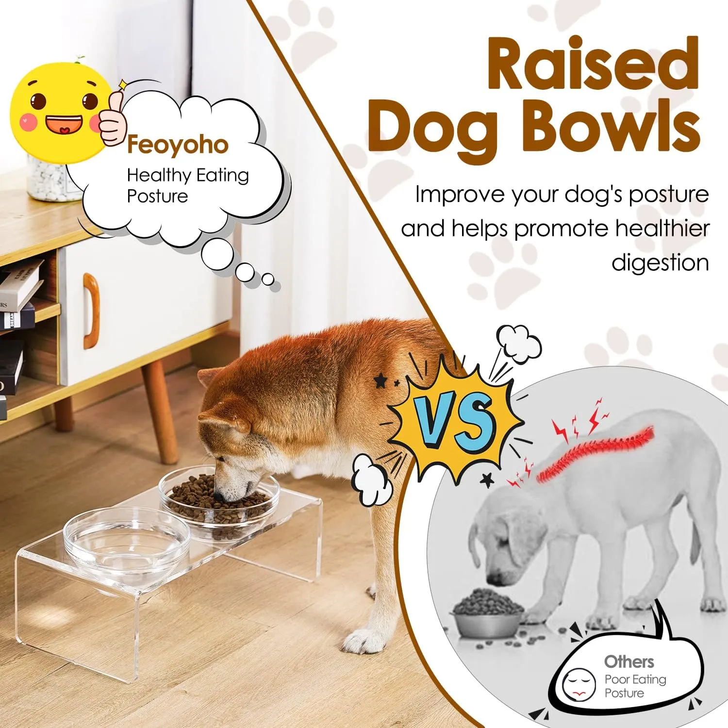 Acrylic Elevated Dog Cat Bowls Pet Feeder Double Bowl Raised Stand Comes with 2 Removable Glass Bowls and 2 Stainless Steel Bowls.Perfect for Medium Dogs, 5.5" Tall