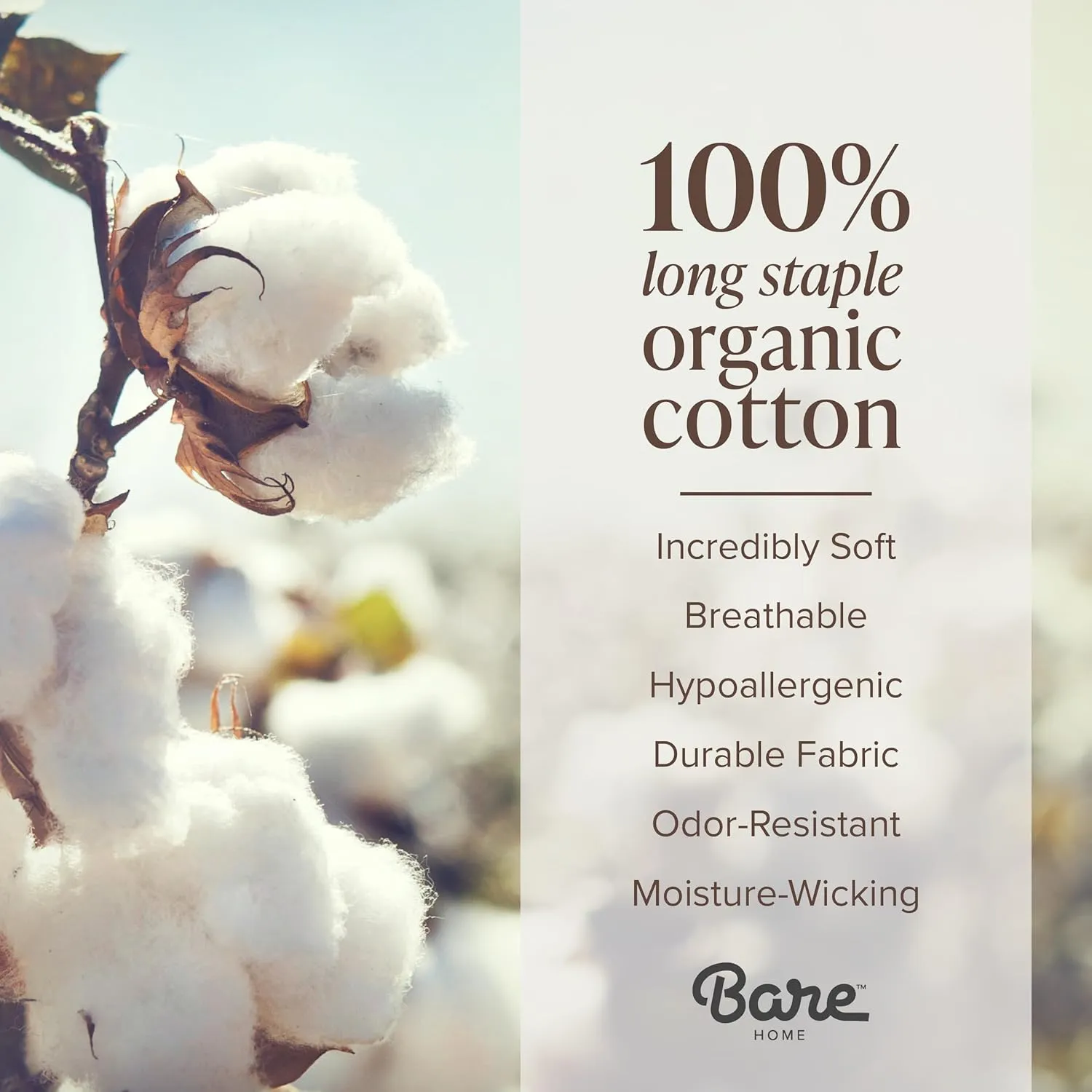 Bare Home 100% Organic Cotton Queen Fitted Sheet - Crisp Percale Weave - 260 Thread Count - Lightweight & Breathable - Deep Pocket Fitted Sheet (Queen, Bering Sea)