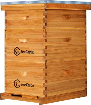 BeeCastle 10 Frame Langstroth Bee Hive Coated with Beeswax Includes Beehive Frames and Waxed Foundations (2 Deep Boxes & 1 Medium Box)