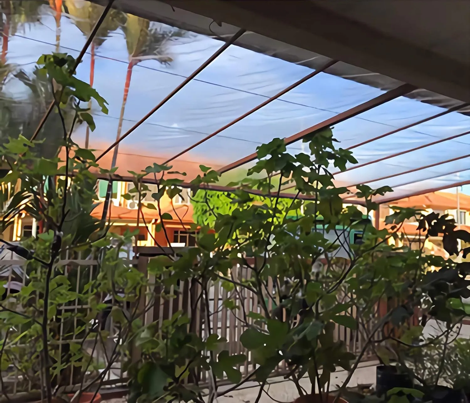 Clear Tarp, Transparent Tarp Heavy Duty Waterproof with Grommets, Reinforced Edges are Durable, Thick and Tear-Resistant, Multipurpose Greenhouse, Outdoor Porches, Nursery, Etc. Against Rain
