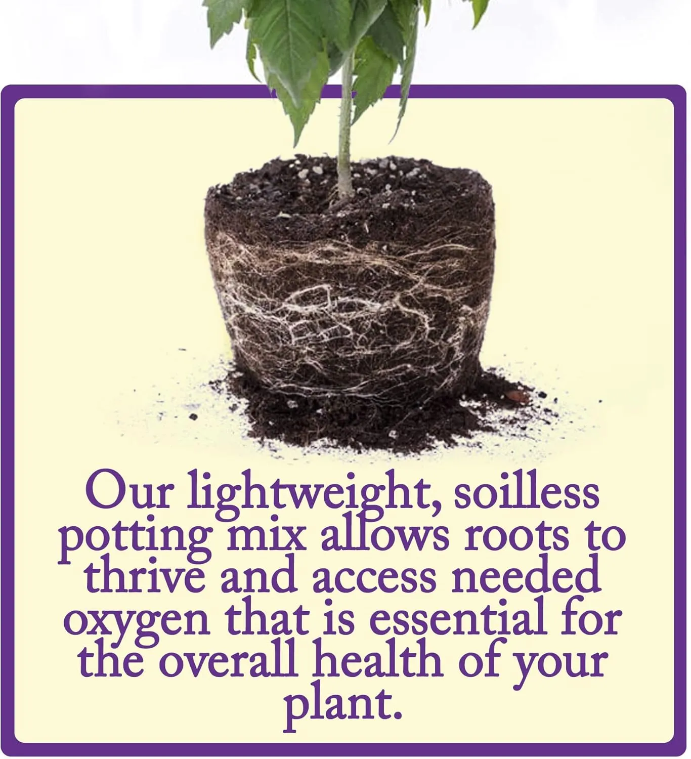 Esbenshade's Outdoor/Indoor Professional Lightweight Potting Soil (44 Quart Bag) - Blend of Peat, Perlite, Pine Bark & Lime, Perfect for Gardens and Potted Plants