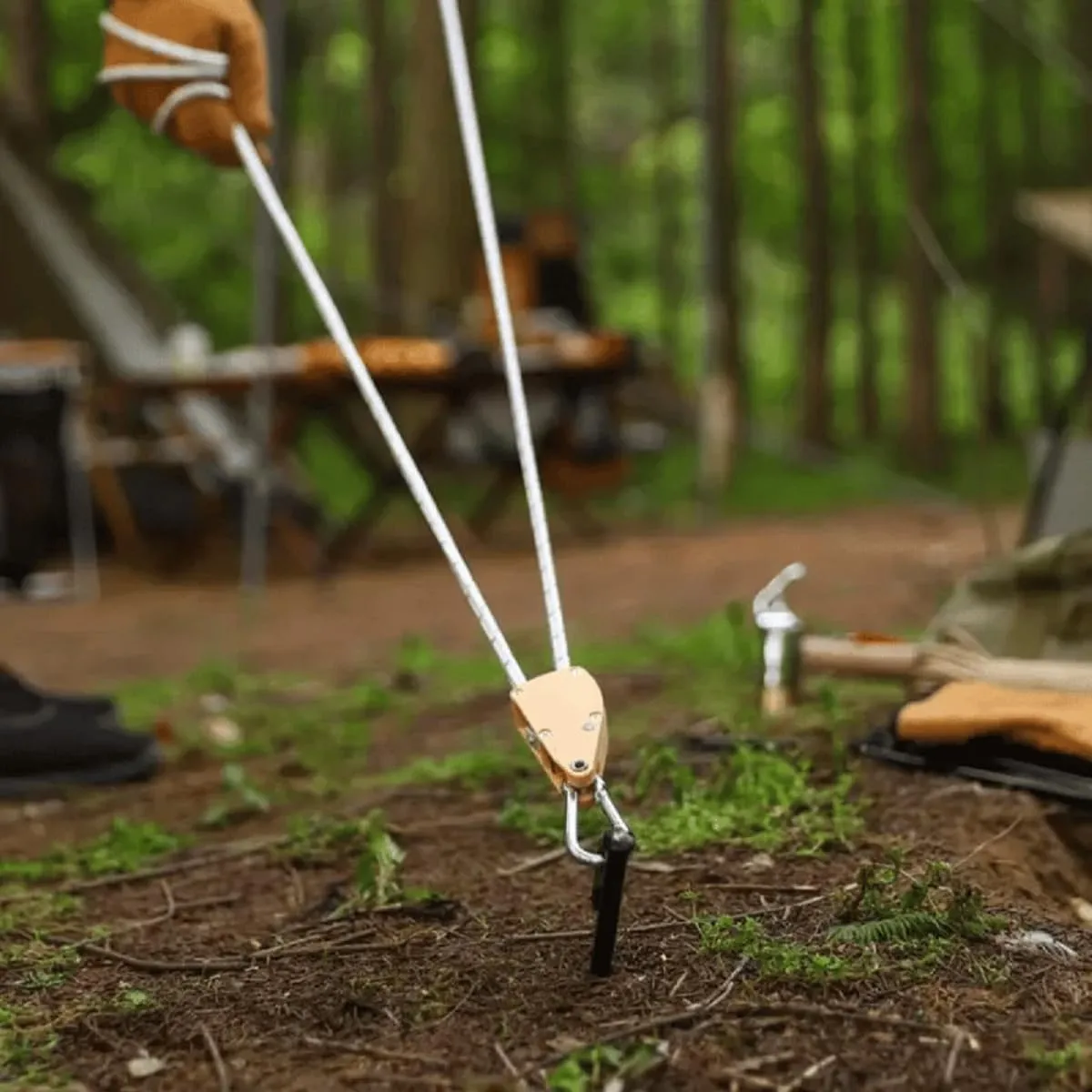 Outdoor Windproof Rope with Ratchet, Portable Adjustable Windproof Camping Rope, Outdoor Windproof Rope Hanger Adjustable for Tent Tarp, Canopy Shelter, Climbing (Khaki,6mm*5M)