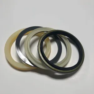 PW01V00043R300 Boom Cylinder Seal KIT FITS CASE CX36 KOBELCO SK30SR-2