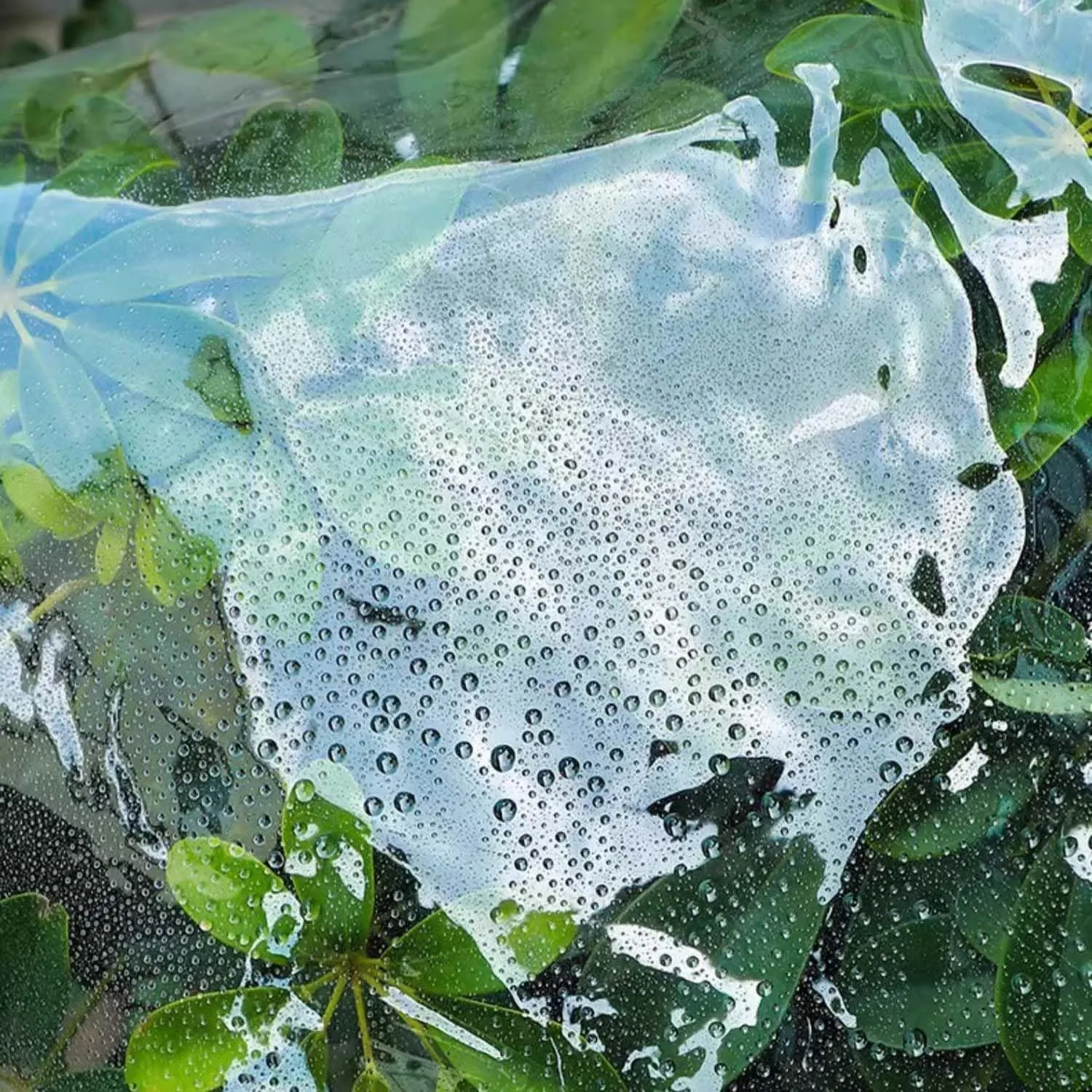 Transparent Heavy Duty Waterproof Tarp 3.3x9.8ft, Clear Tarpaulin, Tarpaulin Waterproof Cover, Clear PVC Cover with Grommets, for Garden & Outdoor