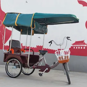 Trike Cover Compatible, Bike Storage Covers Rain Sun UV Windproof Tarp, Heavy Duty Bike Cover, Waterproof and All-Weather, Breathable and Portable Vehicle Protection(Green,80cm/31.5in)